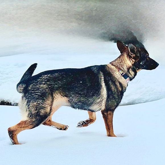 ☺️💞Meet Selena19 📦📬 - Picture 12 of 16